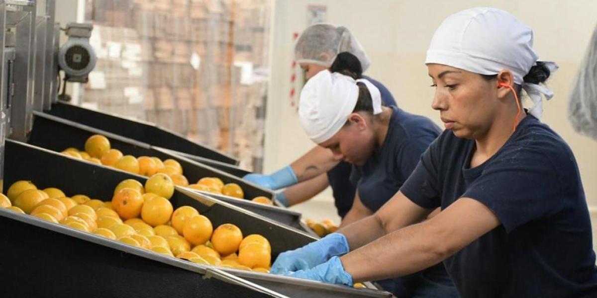 Reducci N De La Jornada Laboral Qu Pa Ses Trabajan M S En Am Rica Latina Y Qu Implicaciones