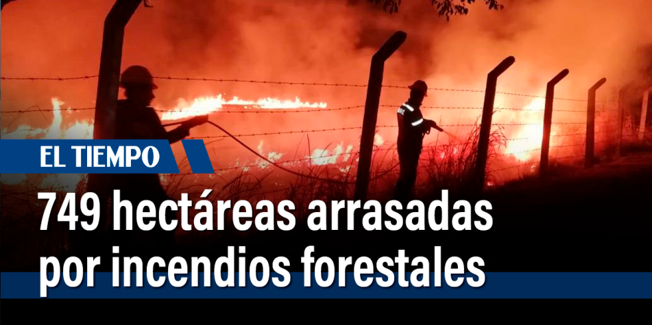 10 Incendios Forestales En Cundinamarca El Fin De Semana