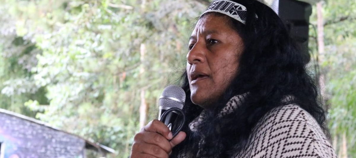 Polémico retén de soldados por caravana de la senadora Aida Quilcué: 'No es justo que estigmaticen a las Fuerzas Militares', dicen en el Ejército