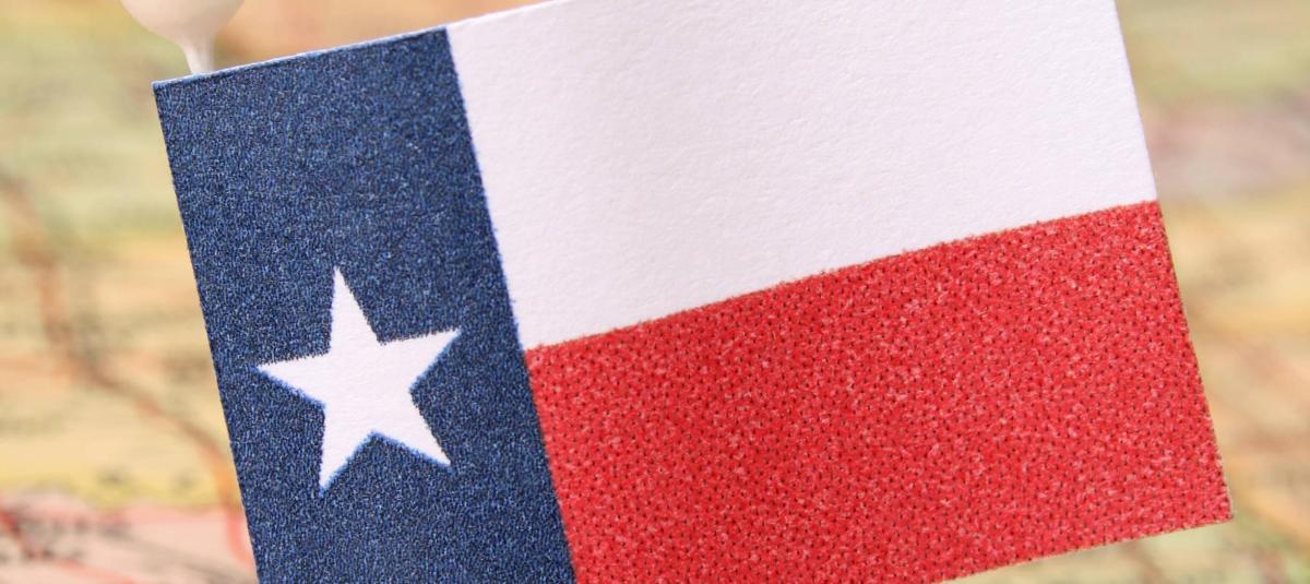 Bandera de Texas