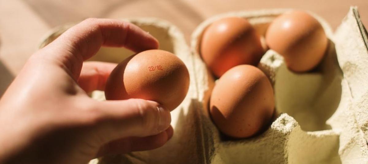 Las manchas son más frecuentes en los huevos cafés.