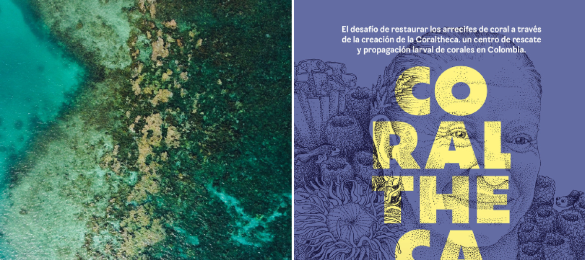 CoralTheca El corto que retrata - 672032a118f80.r D.76 30 