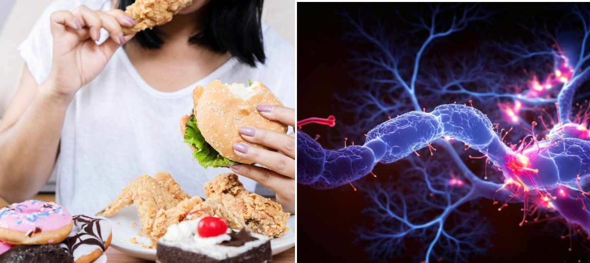 Alimentos ultraprocesados