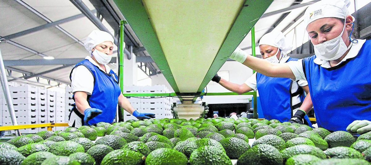 Uno de los temas del foro será el impacto de la reforma laboral en los distintos sectores de la economía.