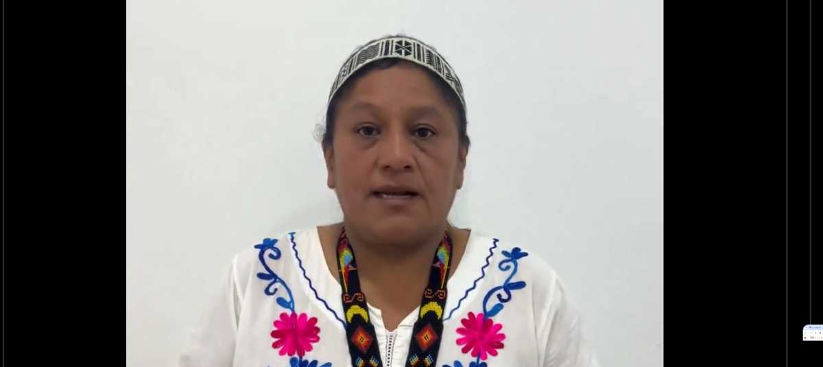 ¿Por qué la senadora Aida Quilcué discutió con una patrulla del Ejército en una vía entre Cauca y Huila? Esto dijo la congresista
