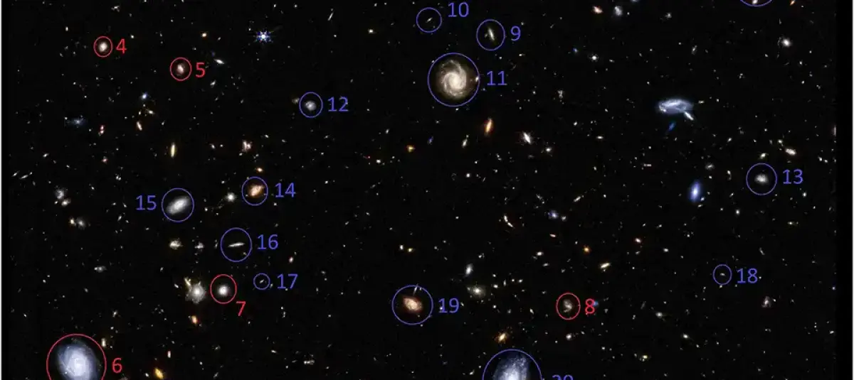 galaxias