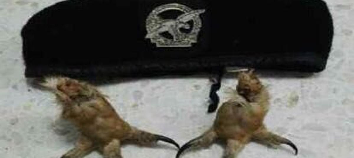 Las garras que 'Gavilán' lucia como amuleto