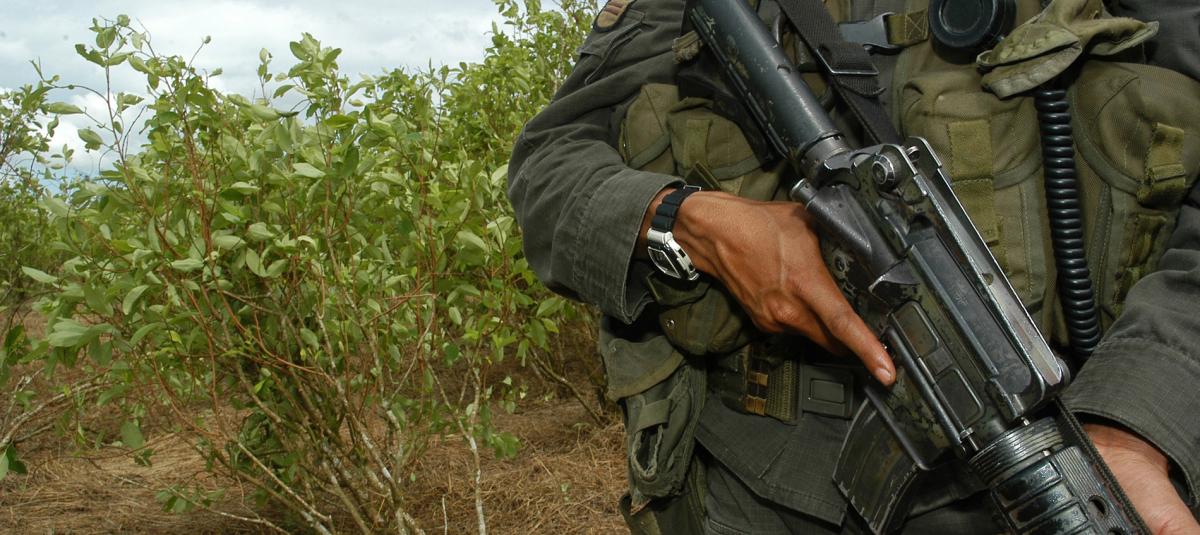 Los carteles de ‘los Zeta’, Sinaloa y Jalisco-Nueva Generación mandaron gente a las zonas de mayor concentración de narcocultivos.