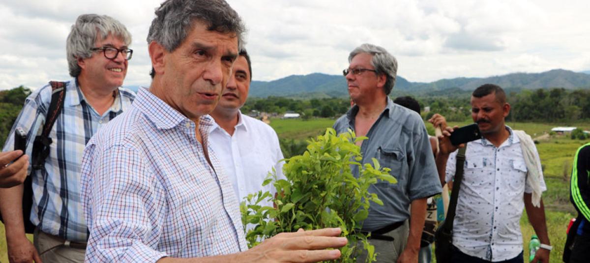 El alto comisionado para el Posconflicto, Rafael Pardo, conoció el memorando confidencial con las demandas de los embajadores.