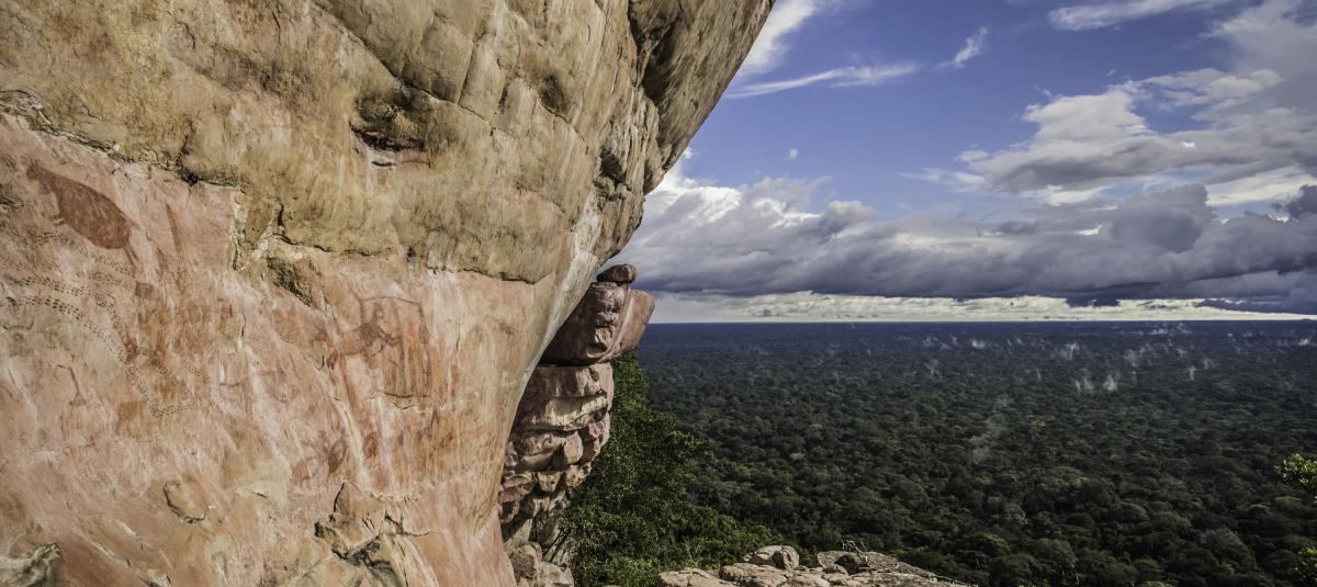 Fotografía del Parque Nacional Natural Serranía de Chiribiquete, el cual se destaca por sus características geológicas y por ser hogar de pueblos y especies autóctonas.