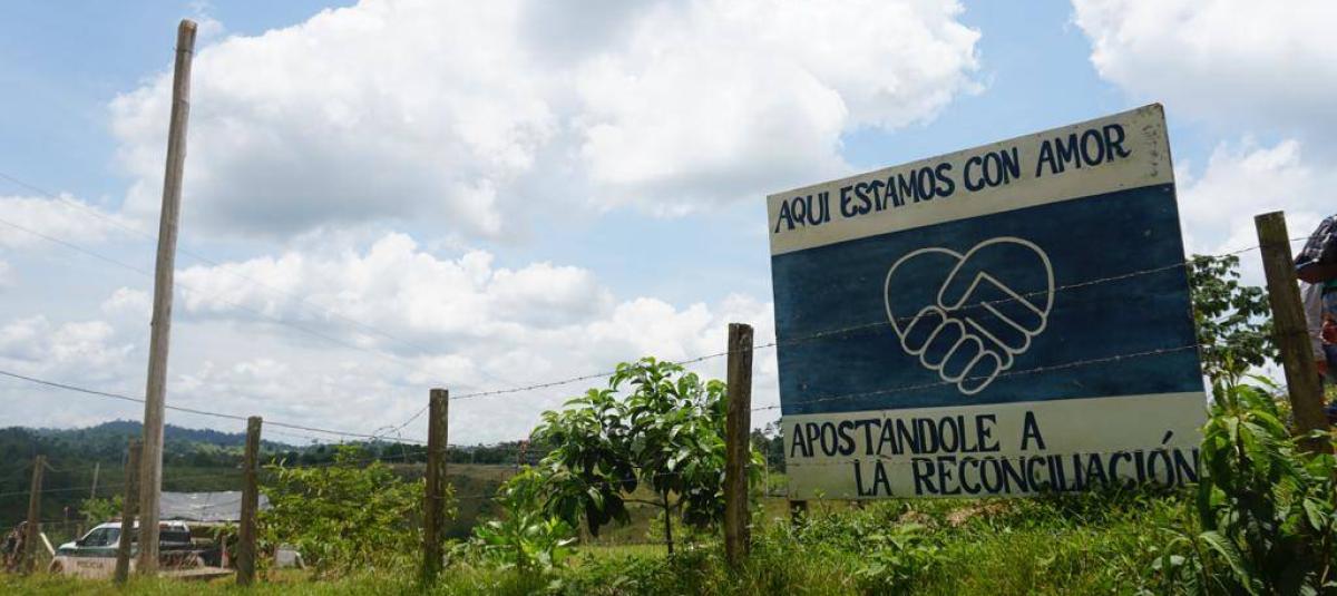 En Carrizal, Antioquia, habitan 72 excombatientes con sus familias y otras personas de la comunidad que llegaron hasta allí.