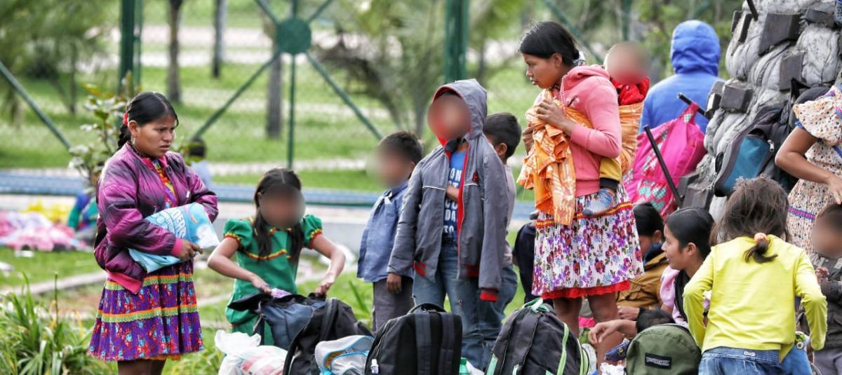 A sangre y fuego: el drama del desplazamiento de los indígenas embera chamí en el Valle del Cauca