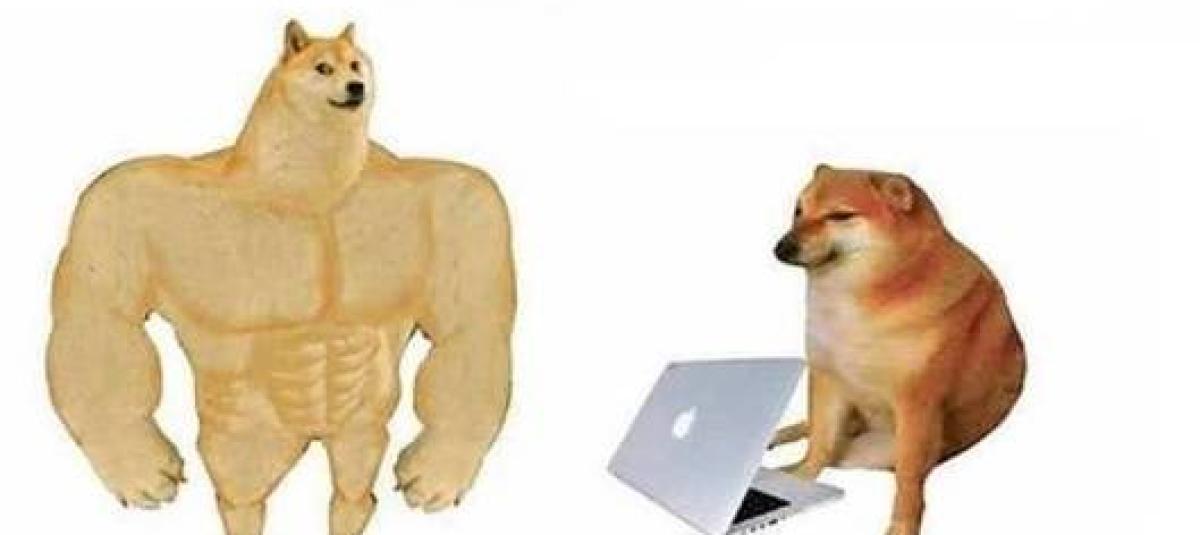 Meme perro grande y perro pequeño: ¿cuál es el origen de Swole Doge vs ...