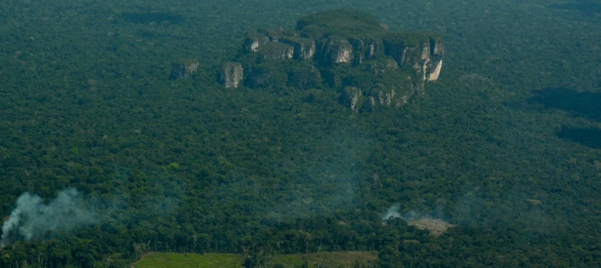 Una de las áreas más afectadas por los cultivos de coca, durante los últimos años, ha sido la reserva Nukak, ubicada en el departamento de Guavire.