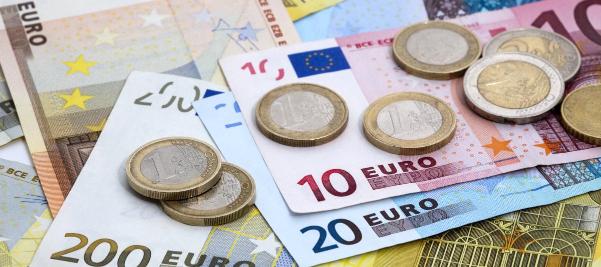 Cuáles son los factores que determinan el precio del Euro?
