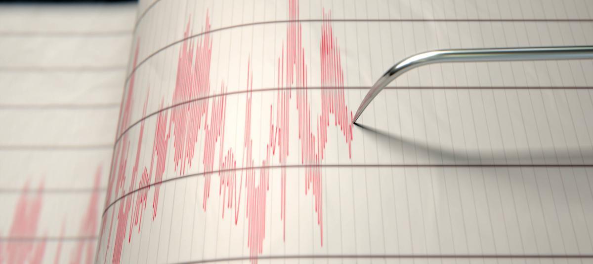 Temblor. Imagen de referencia.