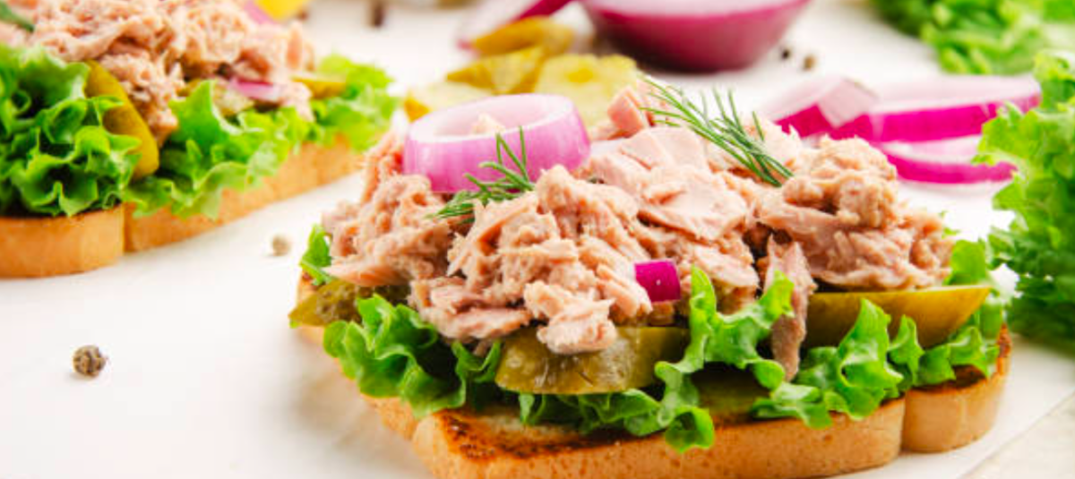 Protena Que Debo Comer Para Ganar Masa Muscular Y Perder Grasa