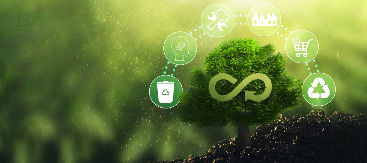 Economía circular: un camino hacia la sostenibilidad