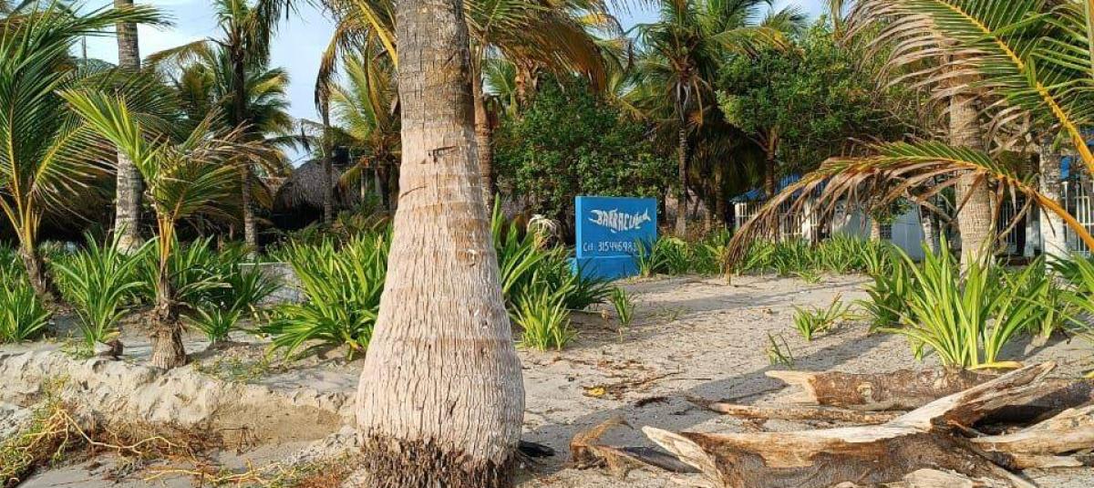 La erosión costera está acabando con playas y palmeras de Coveñas (Sucre)