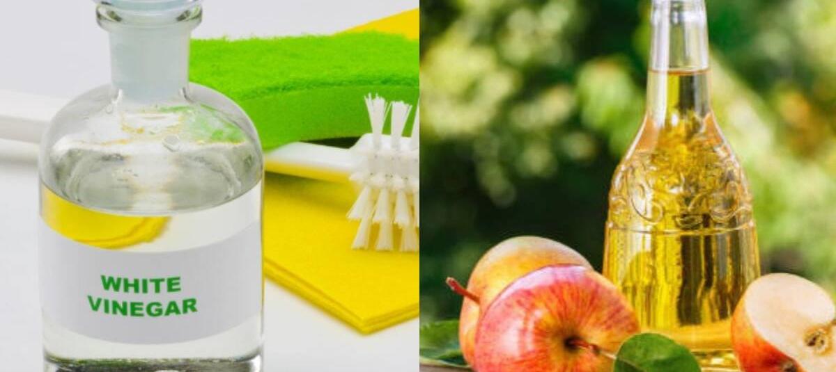 Vinagre Blanco y de manzana: ¿Cuáles son sus diferencias y para qué se