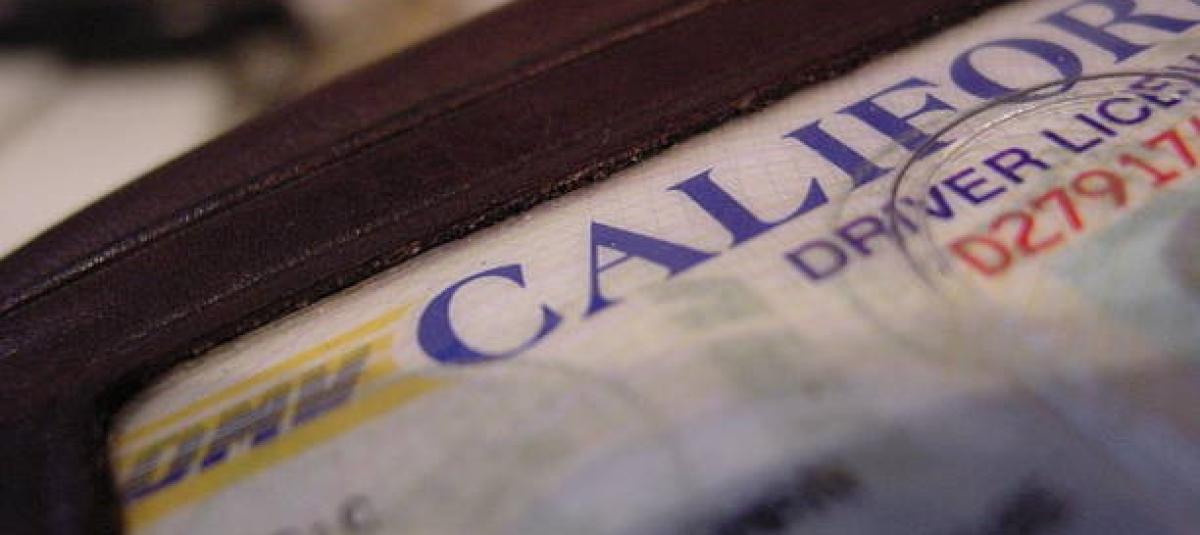 Así puede obtener la licencia sin tener estatus migratorio