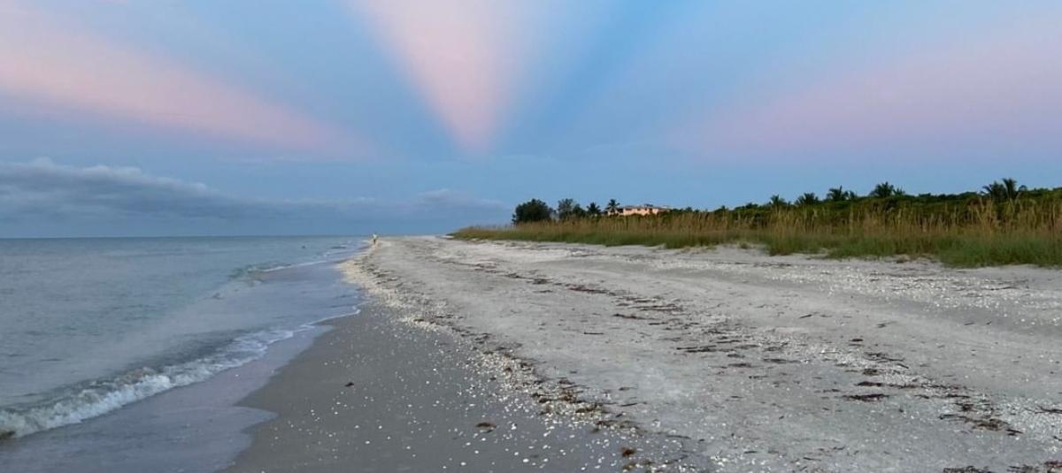 Las Mejores Playas Para Buscar Conchas En Florida Florida, De Playa En