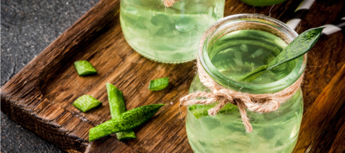Cuánto jugo de sábila se debe tomar al día para bajar de peso? El poder del aloe vera para ayudarle a adelgazar