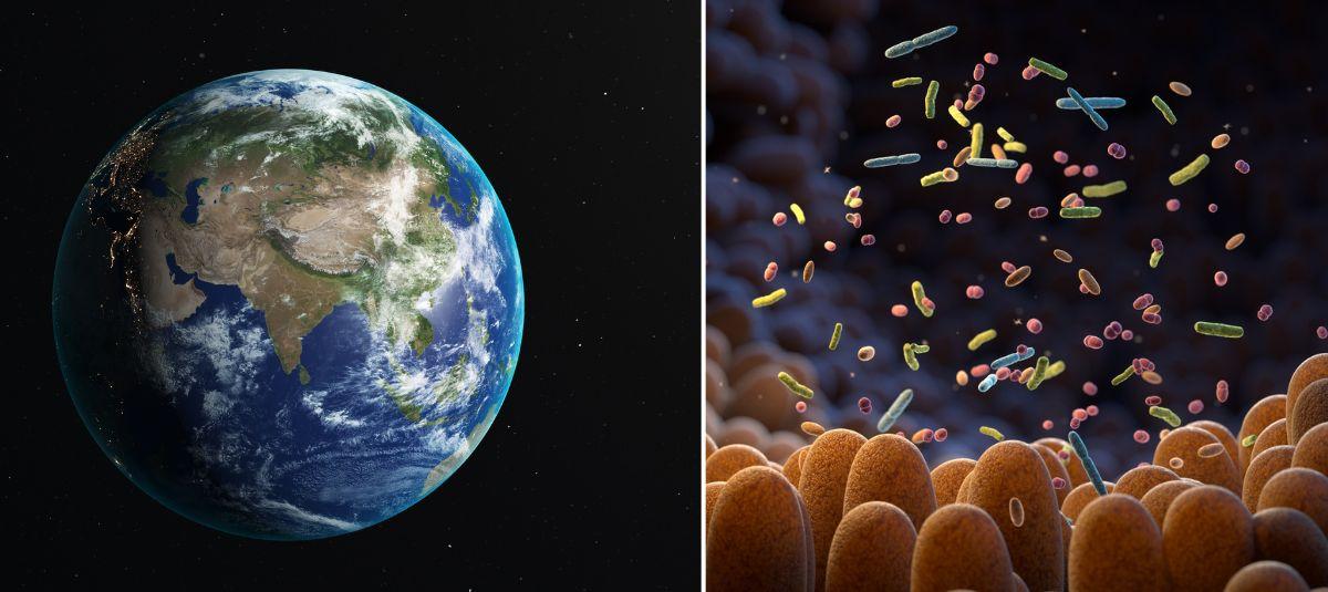 Científicos advierten sobre el riesgo de las bacterias espejo: 'Son un riesgo  sin precedentes e irreversible'