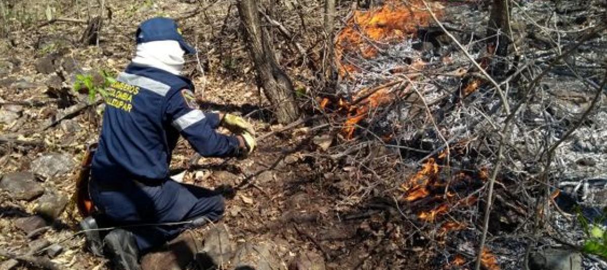 Alerta Roja En Municipios Del Cesar Por Riesgo De Incendios Forestales