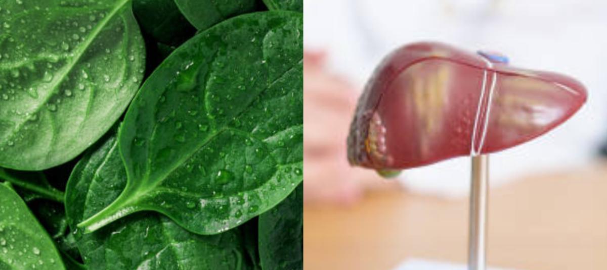 Las verduras verdes son buenas para el hígado