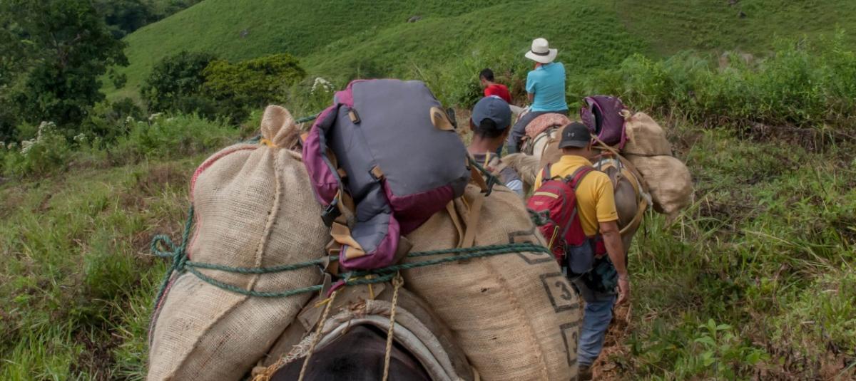 En 2024 más de 6.300 desplazados llegaron a Medellín; un promedio de 17 personas cada día: Personería