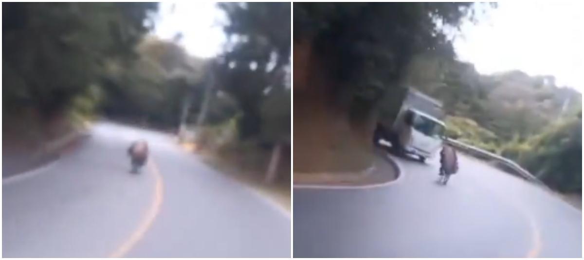Video exacto del grave accidente que sufrió hombre cuando practicaba 'gravity bike' en una carretera de Antioquia