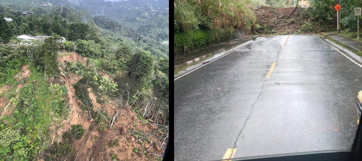 Loma de los Balsos, Medellín