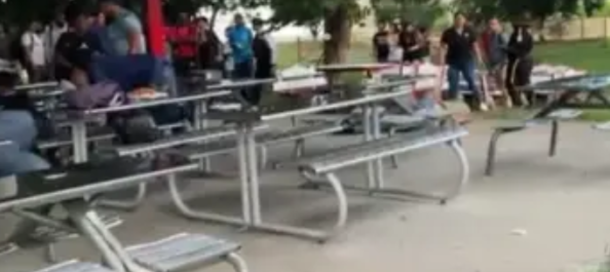 Video | Las medidas que toma la Universidad del Valle tras intento de feminicidios en campus y muerte del agresor
