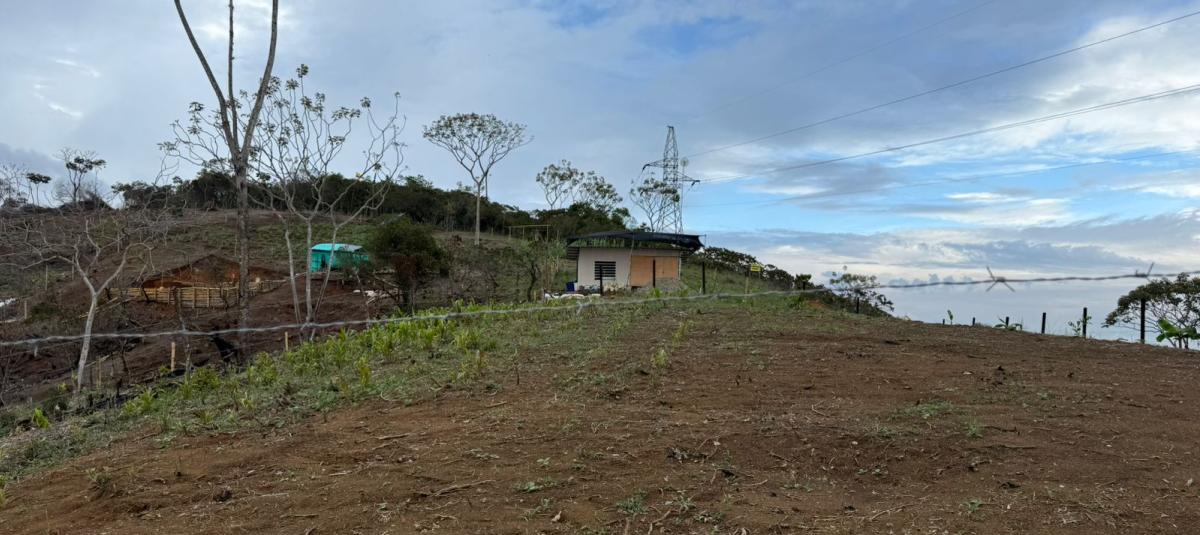 El polémico terreno de narcos en Jamundí, donde estafadores venden costosos lotes: ¿mafia de invasiones?
