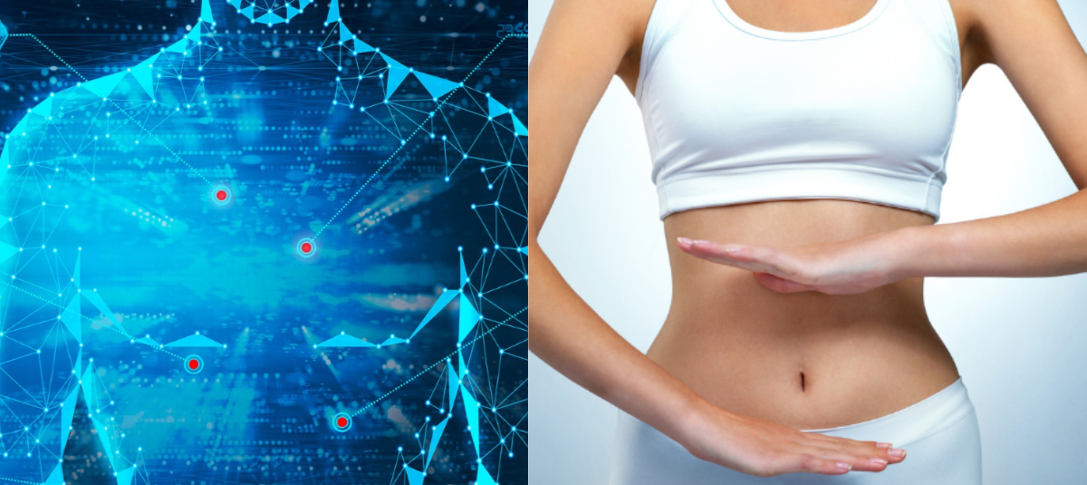 Metabolismo