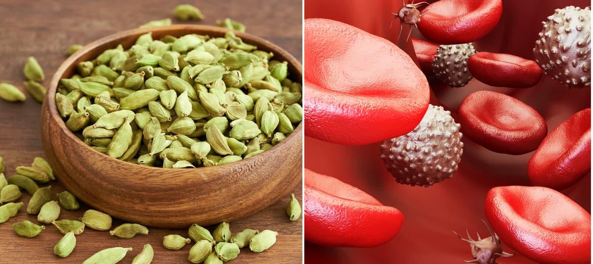 Cardamomo