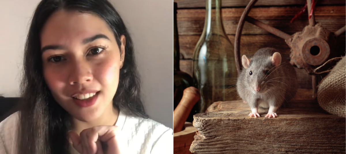 Ratas