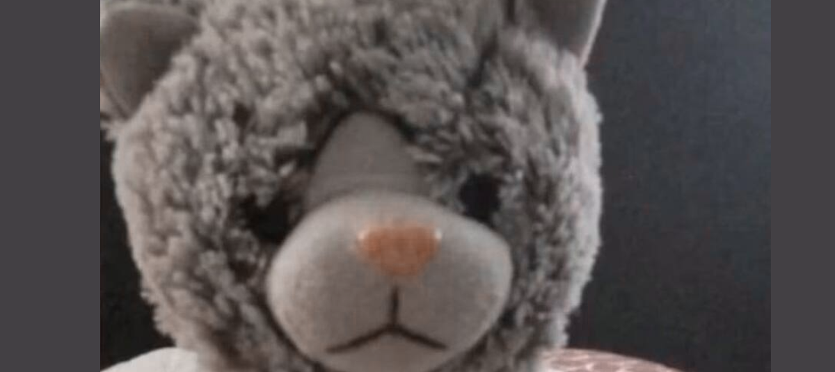 Peluche