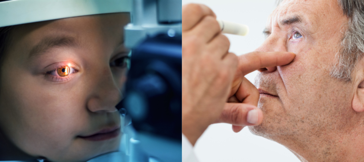 Investigadores desarrollan una técnica que restaura la visión perdida con nanopartículas de oro
