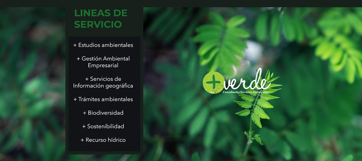 + Verde