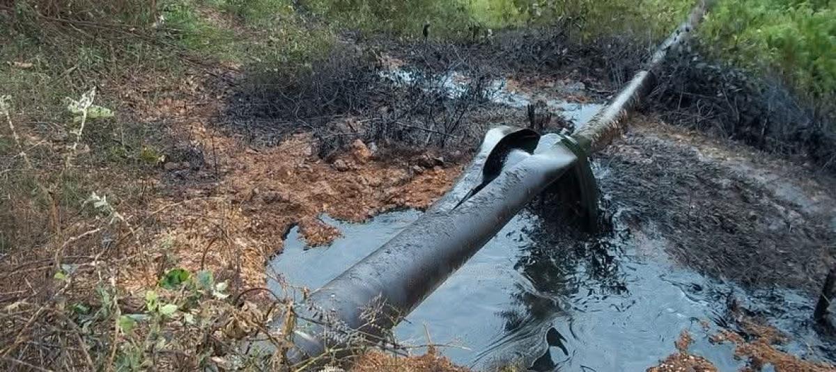 La afectación por la rotura del tubo.