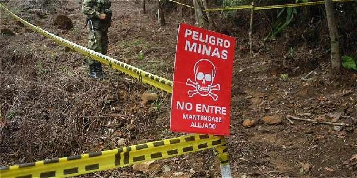 En la estadística de víctimas de minas antipersonal por grupo étnico, el 37 % (139) fueron menores de edad: 44 niñas y 95 niños.