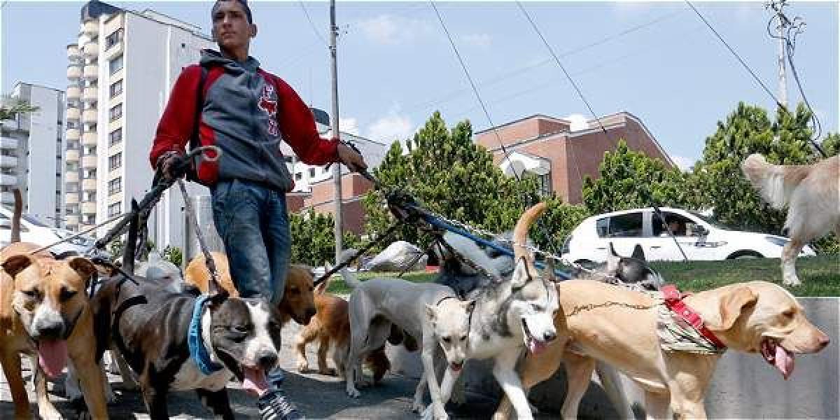 que pasa cuando tu perro muere en el veterinario