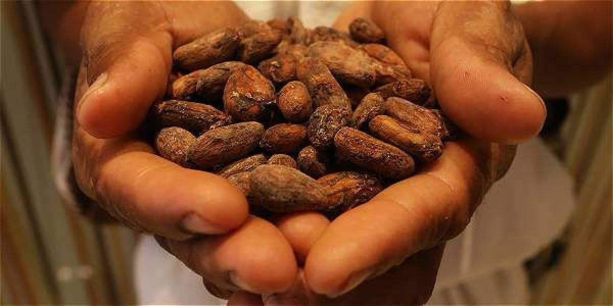 Cacao y vidrio, entre lo que más exportó el Valle