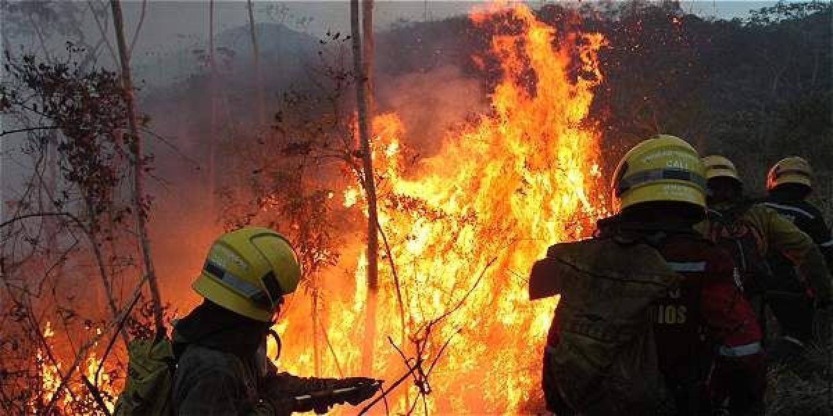 Desde ya se prevee un crecimiento en la alerta por incendios forestales en las regiones Caribe y Orinoquía.