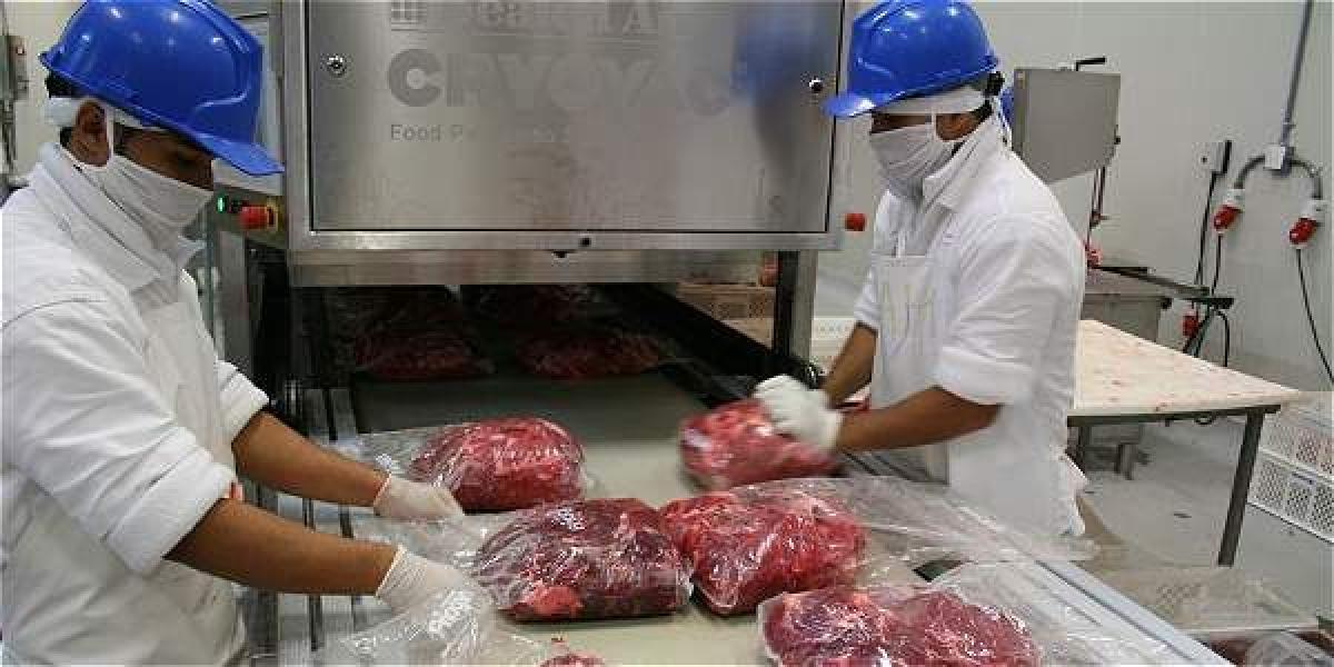 La actividad económica de Friogán es la transformación de carne bovina, utilización de subproductos del beneficio y la conservación de las carnes.