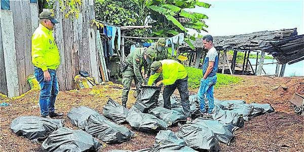 Efectivos de la Policía realizando el conteo de la cocaína incautada en una bodega de Tumaco. En total se ubicaron 500 kilos.