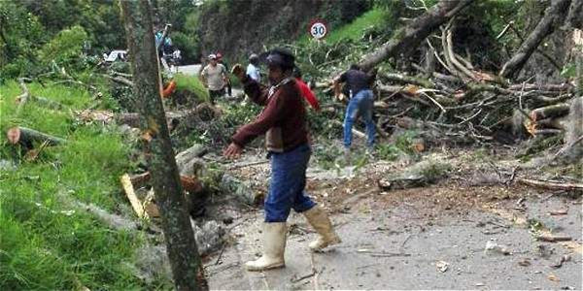 En la vía Toribío - El Palo, en el Cauca, también las fuertes lluvias generaron estragos como la caída de un árbol.
