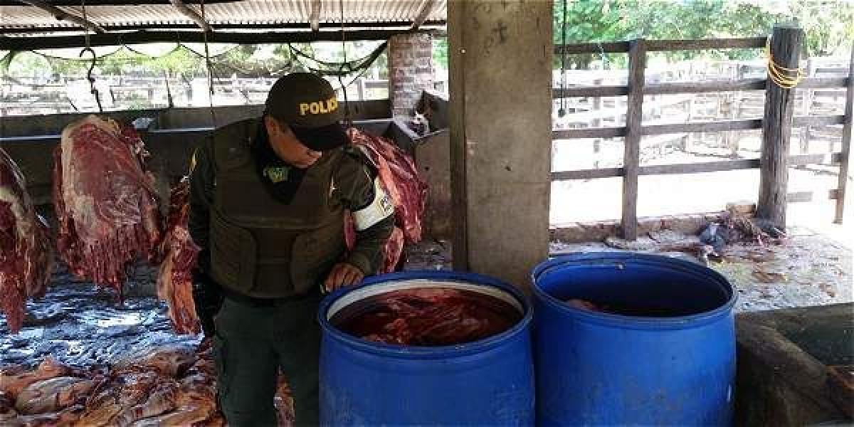 El Comité de Ganaderos de Norte de Santander señaló que la carne que se consume en Cúcuta y su área metropolitana es de contrabando.